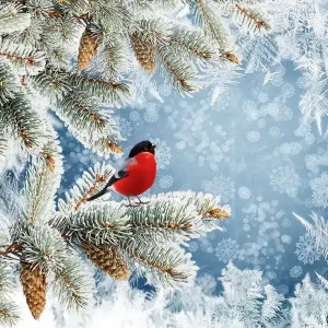Holiday Pops